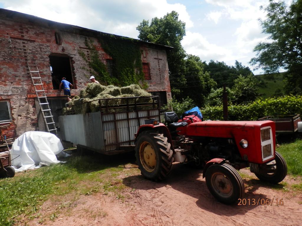 Zagroda Agroturystyczna Wiecha Mieroszow Dış mekan fotoğraf