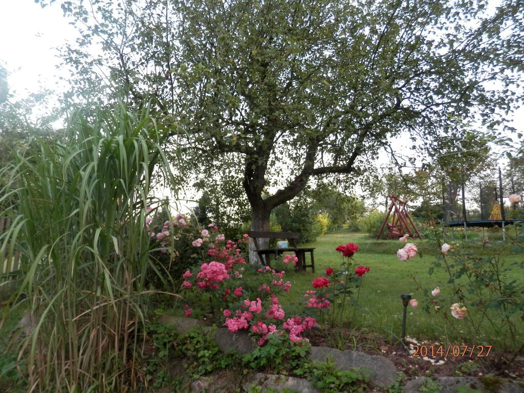 Zagroda Agroturystyczna Wiecha Mieroszow Dış mekan fotoğraf