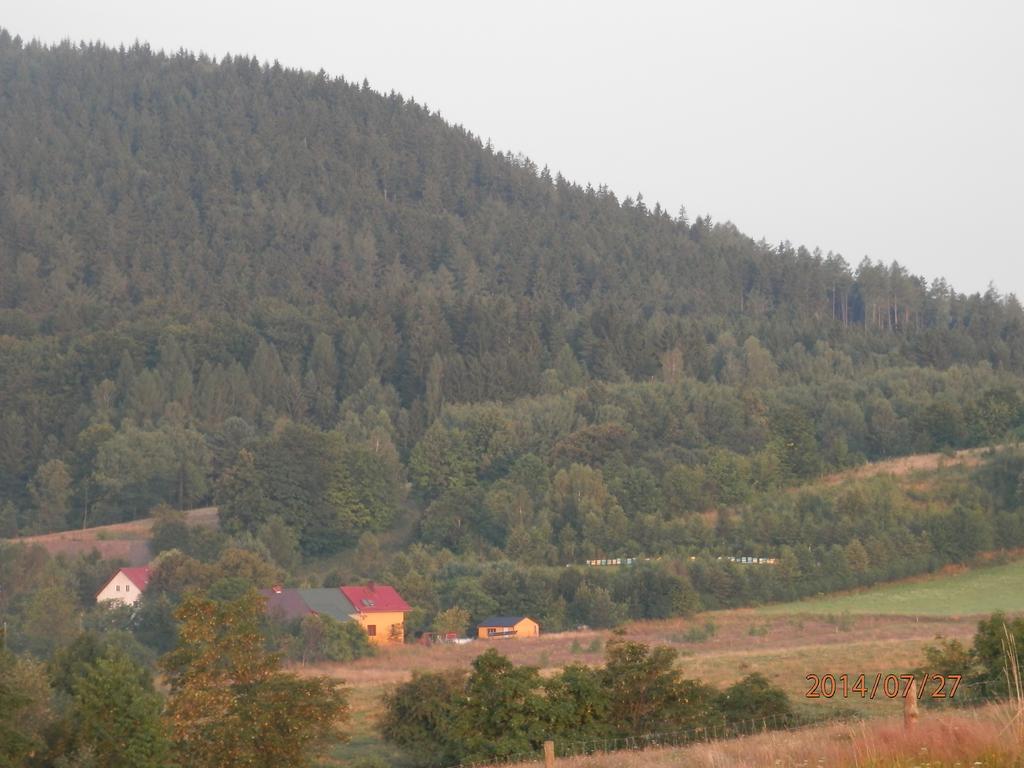 Zagroda Agroturystyczna Wiecha Mieroszow Dış mekan fotoğraf